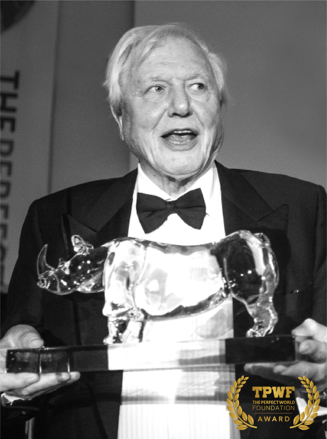 Sir David Attenborough – The Perfect World Foundation Award